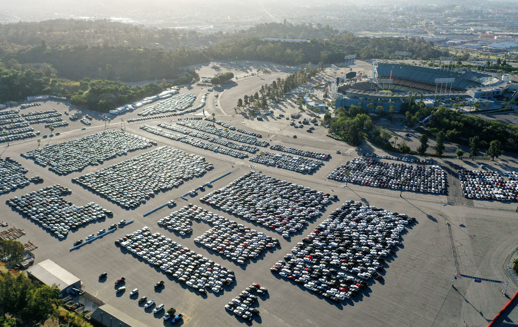 Rental cars